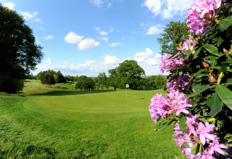 Golf Green in the sun