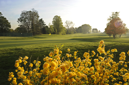 sunrise golf fairway