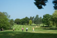 Mixed golfers on 8th green