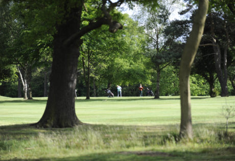 sunrise golf fairway