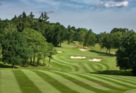 sunrise golf fairway