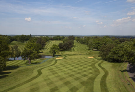 Man playing 10th West